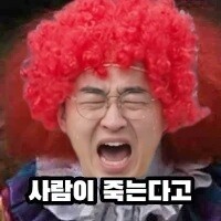 생각보다 딴딴한 느낌이네요