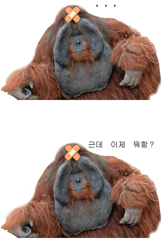 그래서 이제 뭐삼?