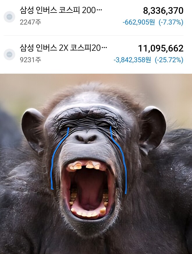 웨 또 모가 문잰대