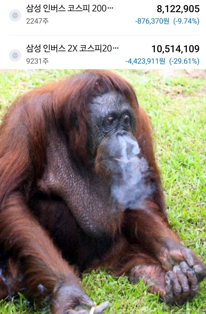 비록 오늘 역사적인 상승일지라도