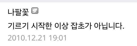 제타는 꽃인지 잡초인지