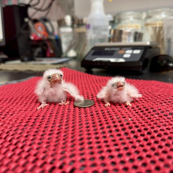 🐿공시) 어제 알파벳 일부 매도...