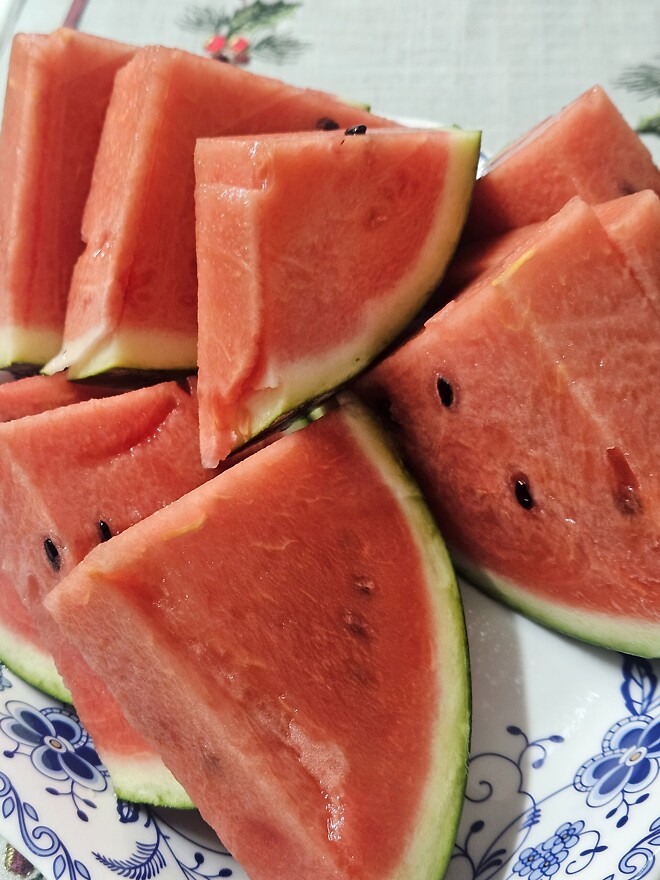 🐿공시) 어제 알파벳 일부 매도...