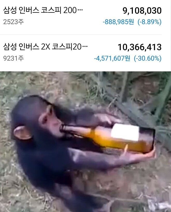 주말을 또 어떻게 보내라는 것이냐