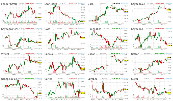 이란은 오렌지 쥬스 좋아하나?