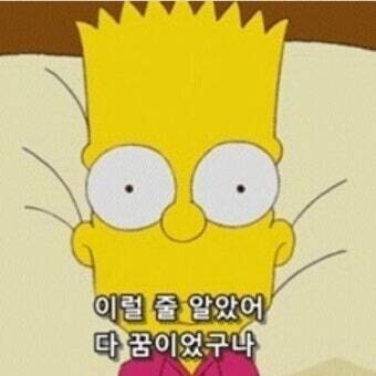 잠 자기 전에 꾼 꿈