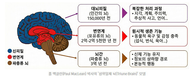 투자에 약한 파충류 인간